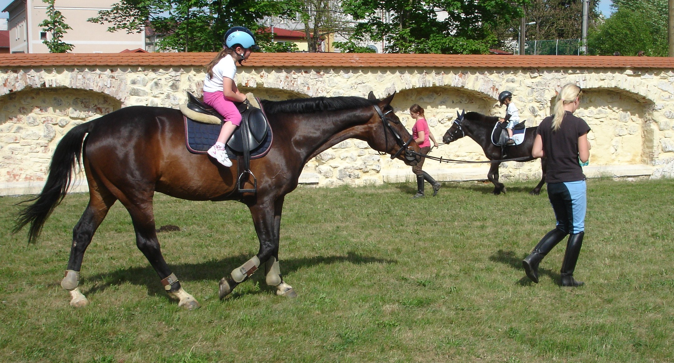 DSC00061