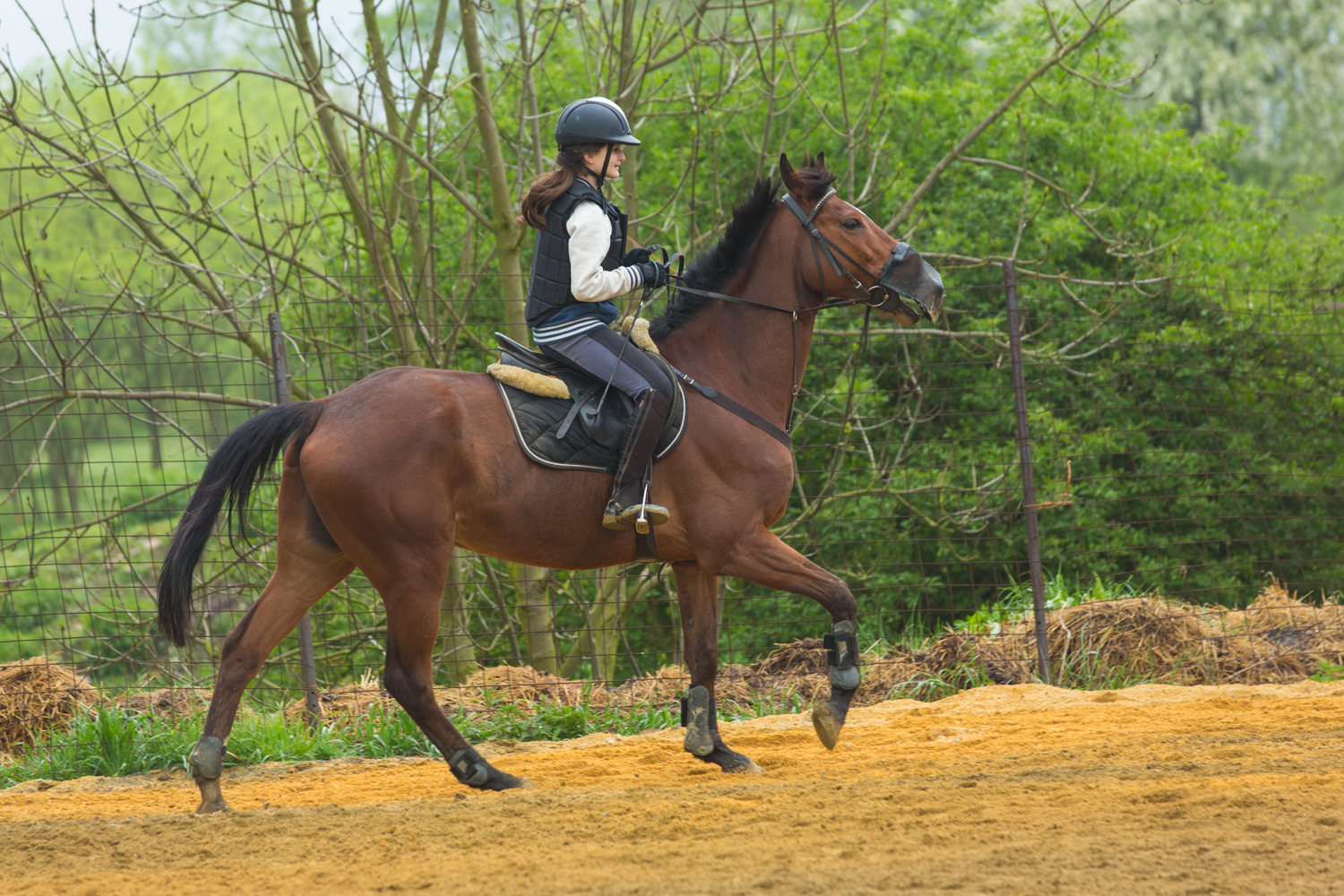 20141L0A0041